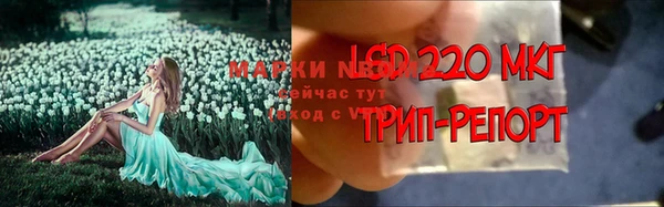 мет Богданович