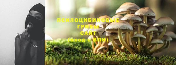 винт Богородск