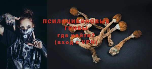 амф Богородицк