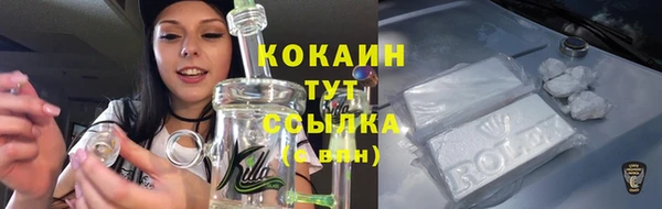 мет Богданович